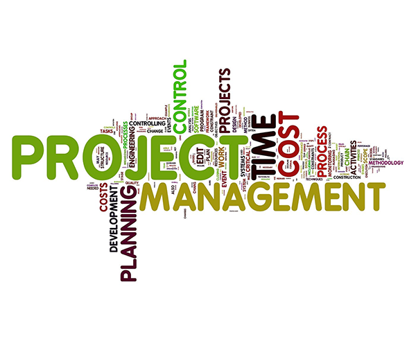 Project Management Buildsmart consultancy